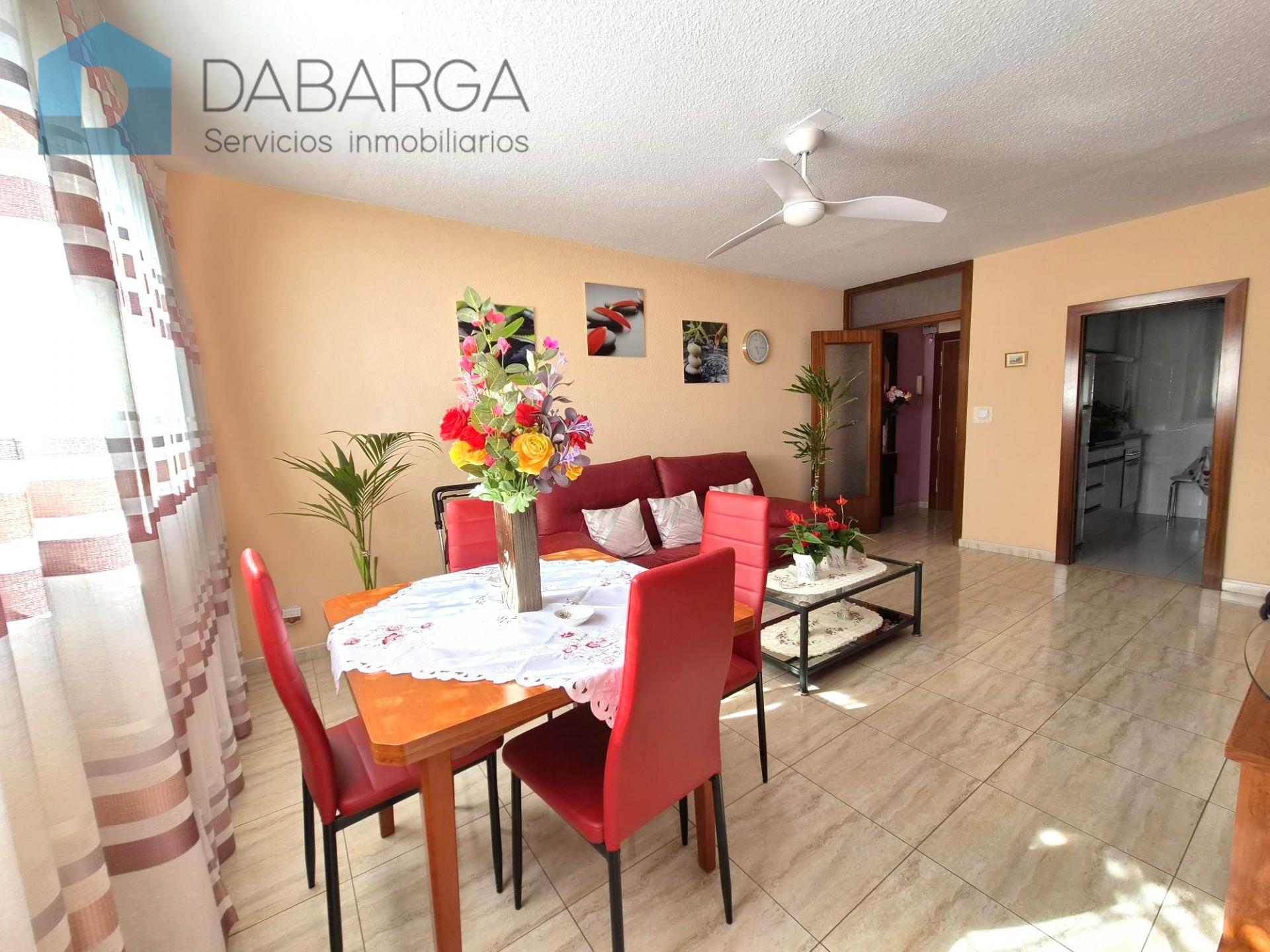 Imagen-5