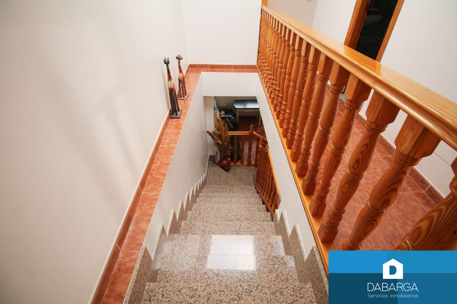 Imagen-7